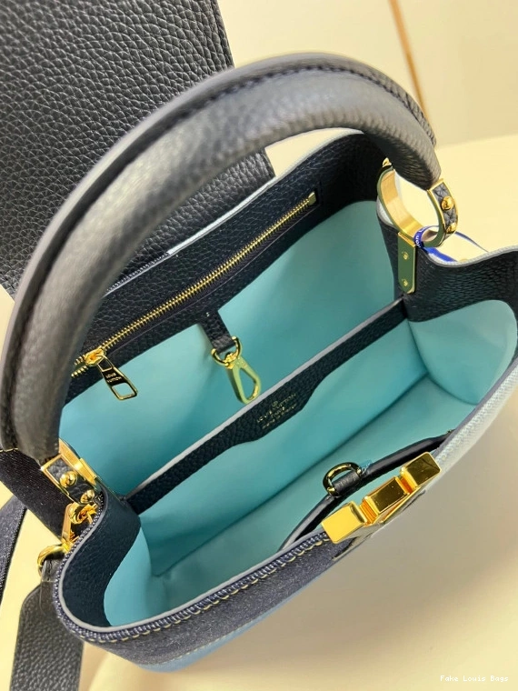 Fake Louis Bags VUITTON CAPUCINES BB LOUIS 0726